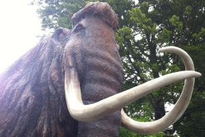 AlpenGlück – **** Ferienwohnung