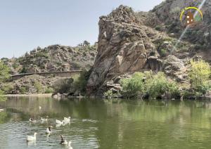Casa de la Galera, Alojamiento Turístico en Toledo