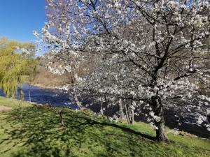 Gîte chaleureux 6 pers avec cour privée en bord de rivière près de Langeac - FR-1-582-11