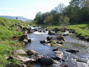 Gîte Nature au Chambon-sur-Lignon: Terrasse, Wifi, Proche Activités et Commerces - FR-1-582-137