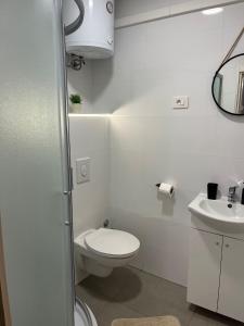 apartman Mijic 