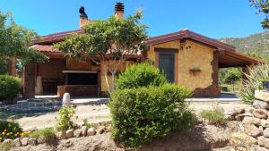 L'Uliveto HOLIDAY HOUSE img42