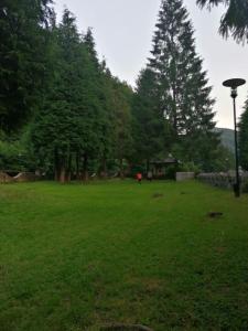 Natura Slanic Moldova