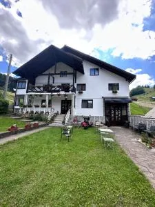 Pensiunea Rodica - 米奥修德萨斯