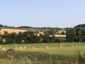 Maisons de vacances Gite Bouxieres-aux-Chenes, 2 pieces, 4 personnes - FR-1-584-174 : photos des chambres