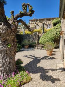 Maisons de vacances Gite au sein d'un Mas Provencal : photos des chambres