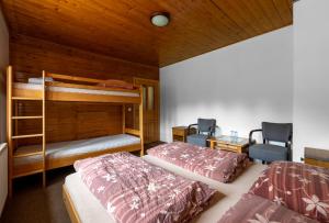 Quadruple Room room in Penzion pod Pralesem