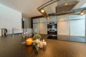 Appartements Les Libellules acces direct au lac, 7 apts du studio au 4 ch, LLA Selections by LocationlacAnnecy : Appartement en Duplex