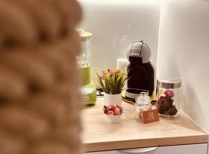 Appartements Loft Menorca & Spa 5 etoiles au coeur de Nancy : photos des chambres