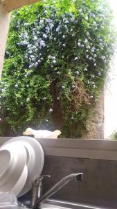 Maison avec jardin centre historique