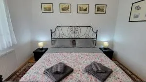 Traveler's Retreat - Hărman