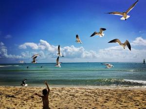 Mayalun apartment 3C