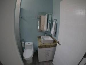 Palmarena studio 307