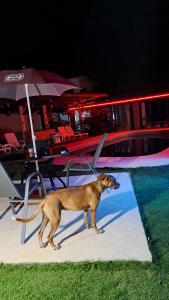 Hostal Villa Mayte Coronado