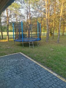 Apartamentai Pušyne