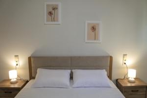 Maison Nikola Kanali