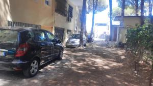 Pine Apartment 2 plus 1