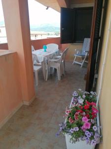 La Stella Marina img81