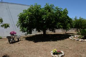 Il Giardino dei Ricordi