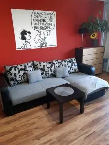 Kwadrat Maja - Świebodzice