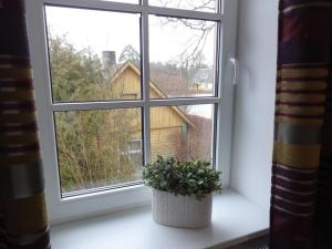 Double Room with Shared Bathroom room in Willa Inga