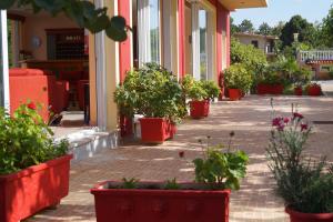 Brati - Arcoudi Hotel Ilia Greece