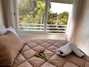 Studio de charme rénové - Fibre- Centre Rabat