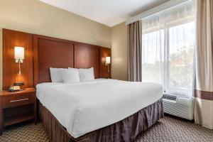 King Suite - Non-Smoking room in Comfort Suites Medical Center Near Six Flags