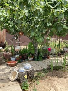 Amélias House (Casa das Amélias)