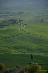 Siena-crete senesi-Val d’orcia - Taverne dʼArbia