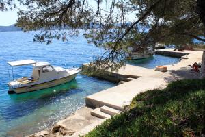 Secluded fishermans cottage Lavdara, Dugi otok - 21569