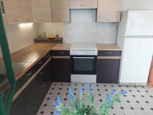 Secluded fishermans cottage Lavdara, Dugi otok - 21569