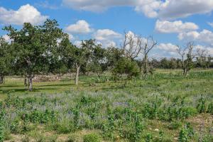 Best little Fredericksburg Bed and Breakfast Unit2