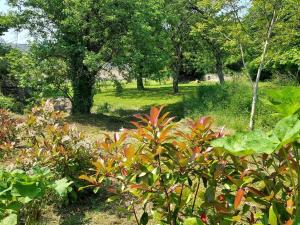 Maisons de vacances Gite de charme avec jardin au coeur des chateaux, WiFi, parking inclus - FR-1-381-543 : photos des chambres