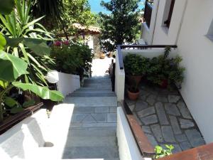 Villa Sunray Pelion Greece