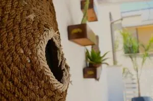 Maison de luxe - 弗兰卡维拉丰塔纳