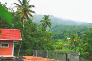Water Vibes Mamalakandam