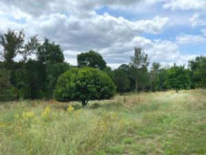 Appartement avec accès privé à la rivière