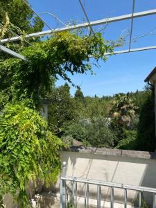 Appartements Cecile - Mas de Rousseau : photos des chambres