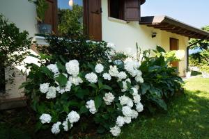 Alice nel Paese delle Meraviglie