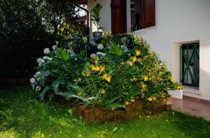 Alice nel Paese delle Meraviglie