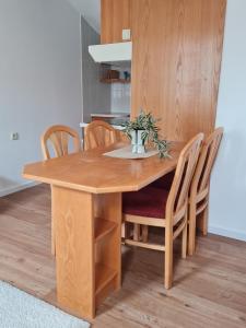 Apartment Moravske Toplice