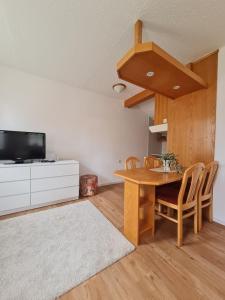 Apartment Moravske Toplice 