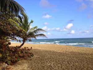 Natura Cabana Boutique Hotel & SPA by Mint