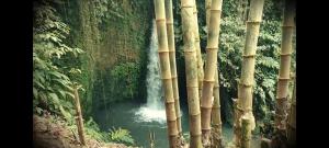 Magical Breeze Cabin