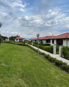 Enigma Complex - Radomir