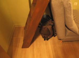 tiny duplex by the park