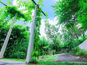 Terrace Garden Ayurveda Resort
