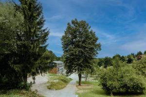Vista Lago,Orahovica jezero