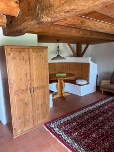 Charming alps apartment perfect for walkcycleski